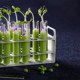 Studená polievka zo zeleného hrášku v párty štýle Studená polievka zo zeleného hrášku v párty štýle