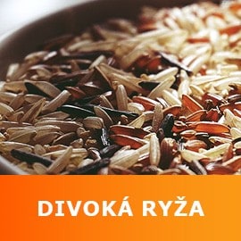 Divoká ryža Divoká ryža