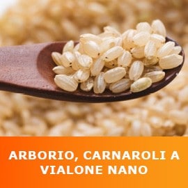 Arborio, carnaroli a vialone nano Arborio, carnaroli a vialone nano
