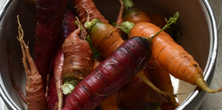 Environmentálne povedomie ako prínos pre stravovacie služby