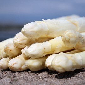 Špargľa Špargľa