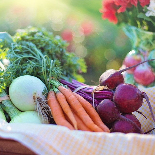 Vychutnajte si sezónu koreňovej zeleniny! Tipy na jedlá a nápoje.