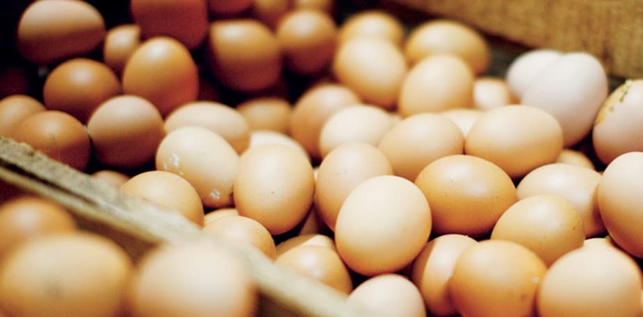 Kalkulácia nákladov na potraviny