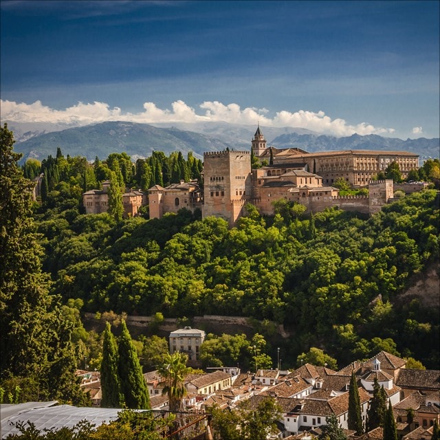 Odkiaľ pochádzajú bylinky a koreniny?