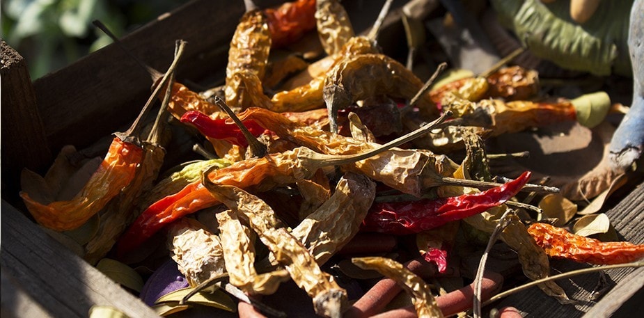 Trh korenín v Kochi