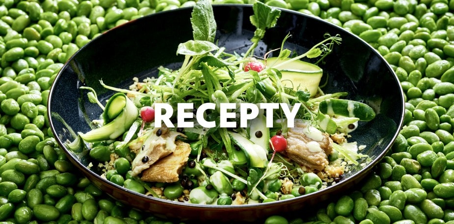 Vegetariánske a veganské recepty