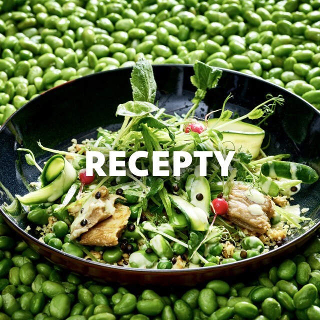 Vegetariánske a veganské recepty