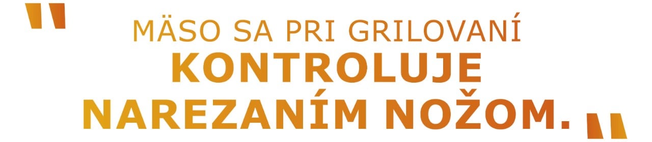 MASO SA PRI GRILOVANI